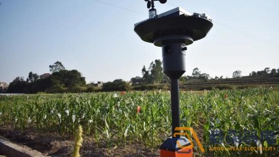 成都弱電公司—智能蟲情測報系統，保障植株安全