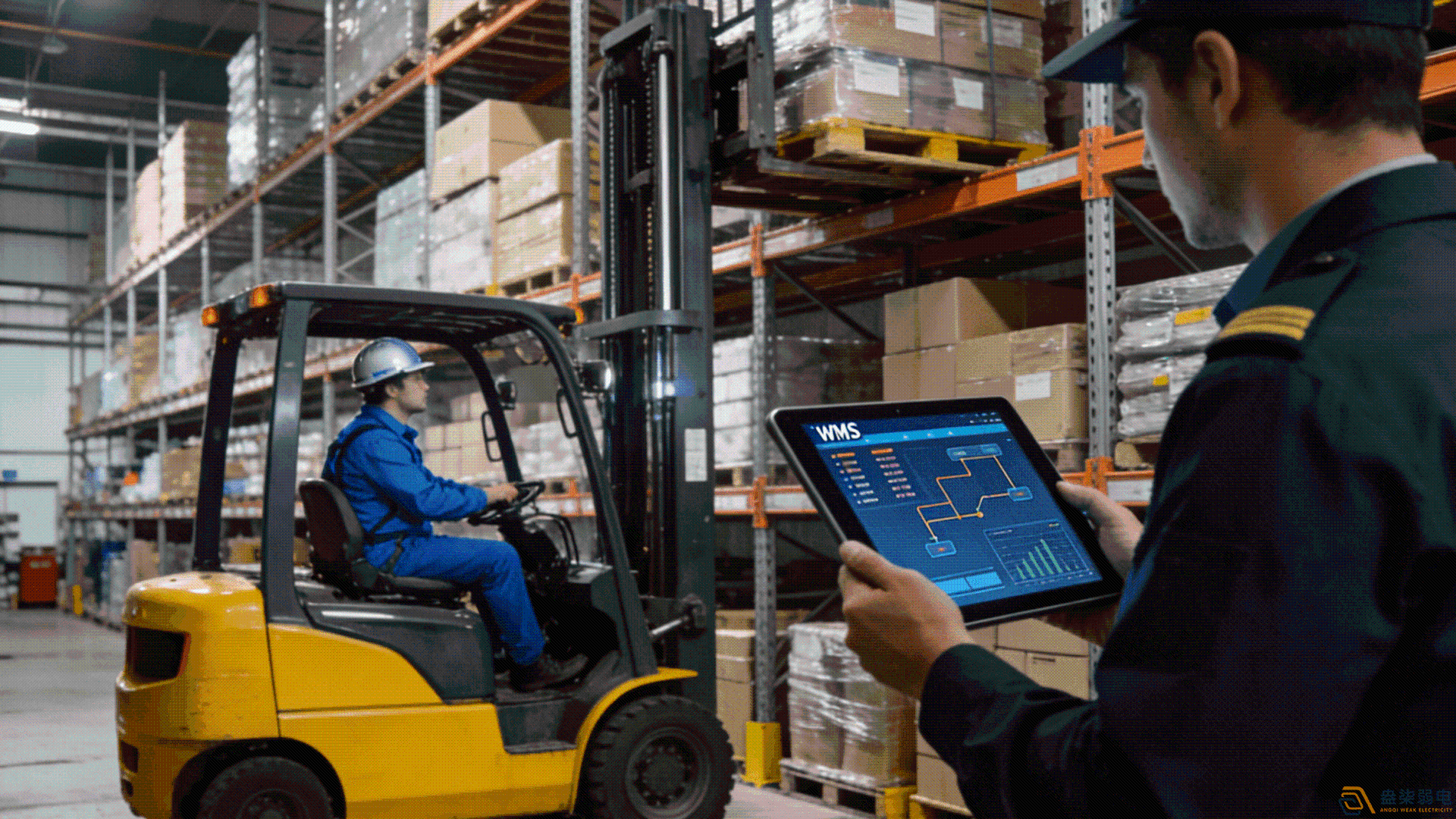 中型倉庫1000-10000㎡適合哪種WMS系統？